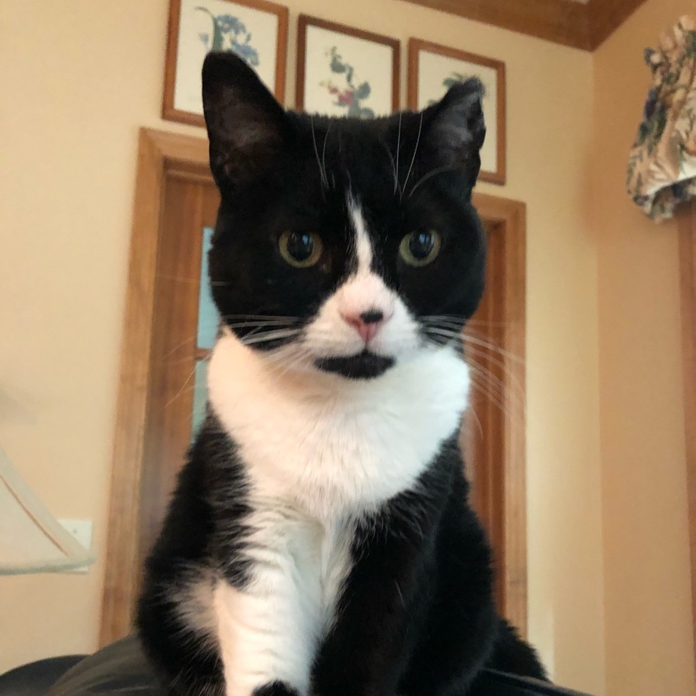 Meet your Posher, Marina